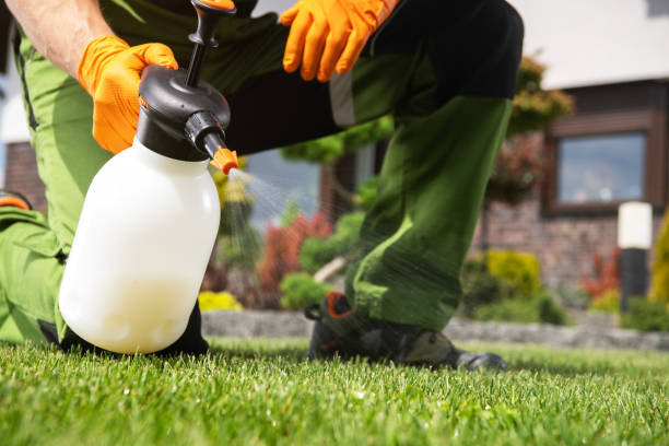 Best Best Pest Control Companies  in Briggs, OK